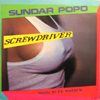 sundarpopo-screw-b.jpg