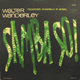 walterwanderley-samba-b.jpg