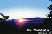 drummasalaanextra-b.jpg