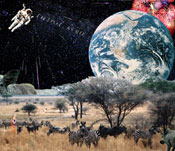 cosmicafro-side.jpg