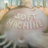 soft-machine-0904.jpg