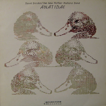 davidborden-anatidae.jpg