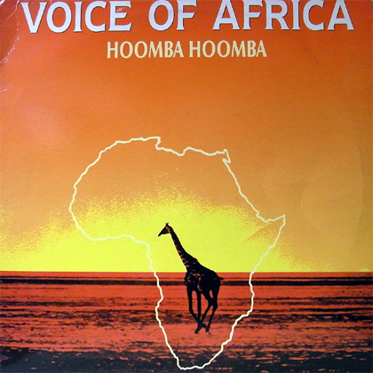 101109-03voiceafrica.jpg