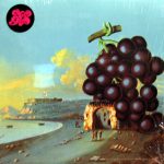 MOBY GRAPE/WOW [USED LP]