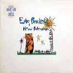 Edie Brickell & New Bohemians ‎/ Shooting Rubberbands At The Stars [USED LP]