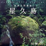 杉本竜一（Ryuichi Sugimoto） / ARCTIC II 幻想の海 北極圏 [Used CD]