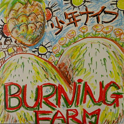 少年ナイフ / BURNING FARM　[USED 8'LP/JPN]  3990円