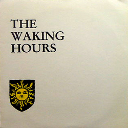 THE WAKING HOURS / WHAT YOU DON'T KNOW [USED 7/UK?] 1260円