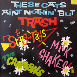V.A. / THESE CATS AINT NOTHIN' BUT TRASH [USED LP/UK]