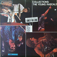 THE YOUNG RASCALS / COLLECTIONS [USED LP/US] 3990円