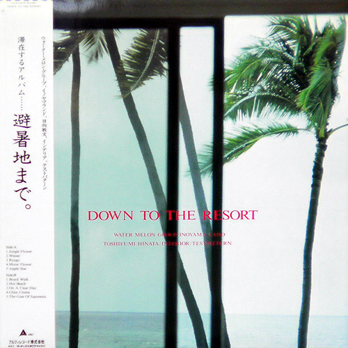 V.A. / DOWN TO THE RESORT -避暑地まで。- [USED LP/JPN] 2520円