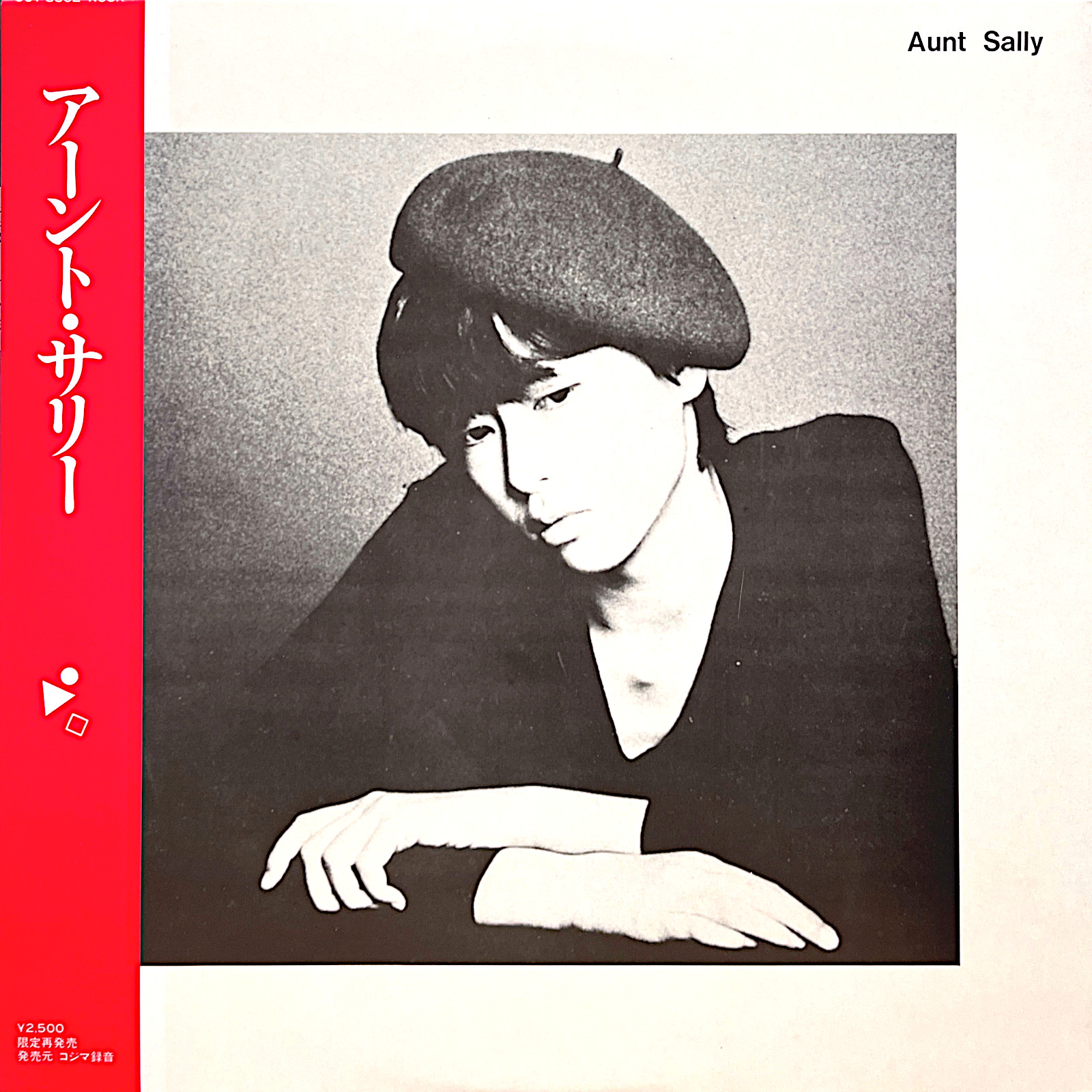 新しいスタイル Aunt Sally アーント・サリー (=Phew) レコード - レコード