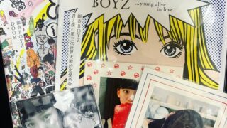 大好きな銀杏BOYZのレコード、CDをまとめてお売りいただきました